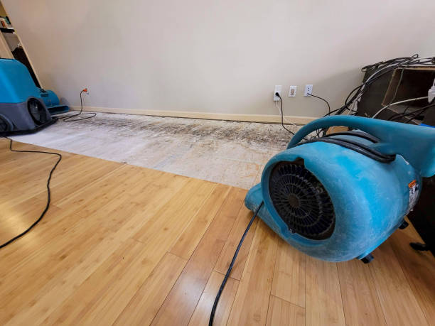 Professional Ceiling Water Damage Repair technician working in Seneca, PA